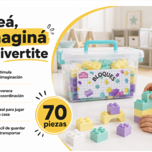 BLOQUES GRANDES EN CAJA X 70 PCS